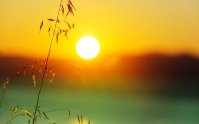 Ny hjemmeside lansert 🤩