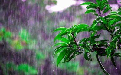 Torsbudalen – Stuenes skole